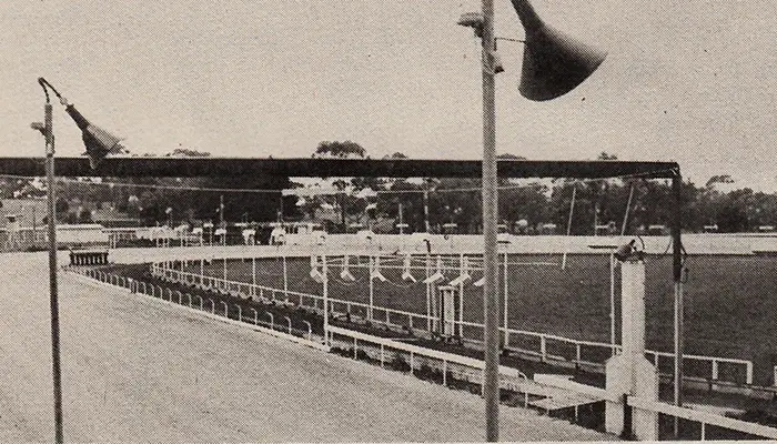 historical image of Geelong Cup race