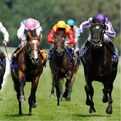 kingston-town-classic-horse-race
