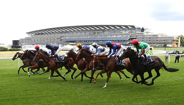 Royal Ascot race in action