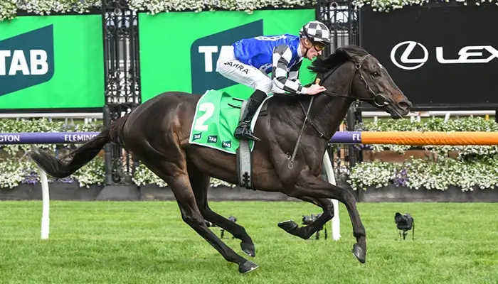 Turnbull Stakes horse race