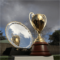 cox-plate-trophy